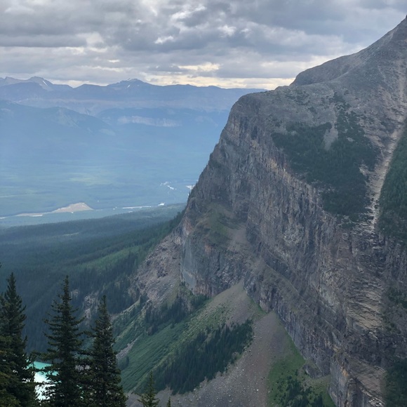 Meet your Posher, Judy - Picture 1 of 1